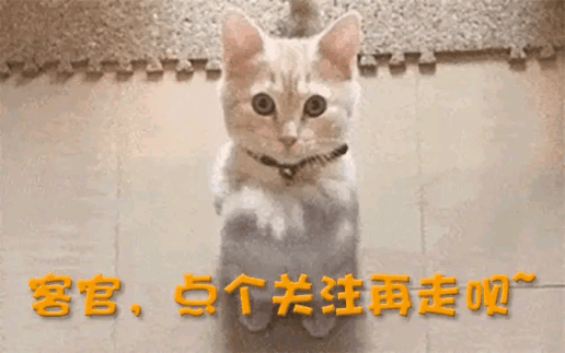 ！又一中产最爱的电商平台停运曾叫板淘宝！不朽情缘平台登录网页烧光3000万美元(图5)